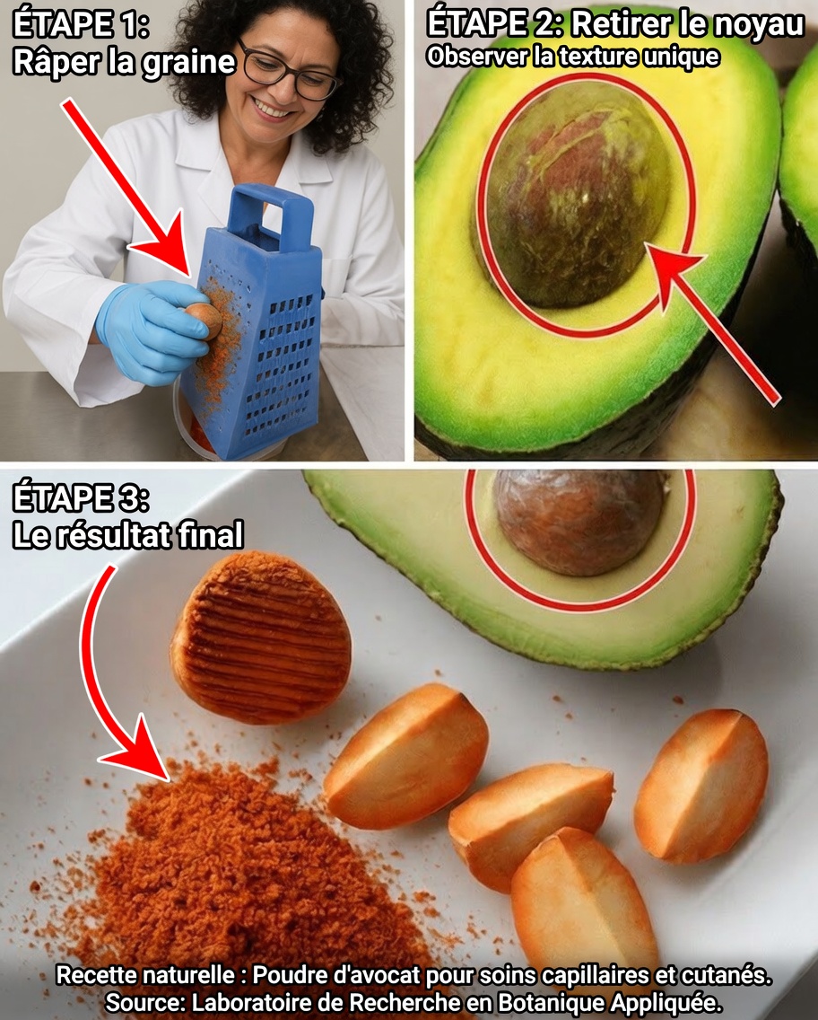 Le noyau d’avocat : le trésor nutritionnel oublié