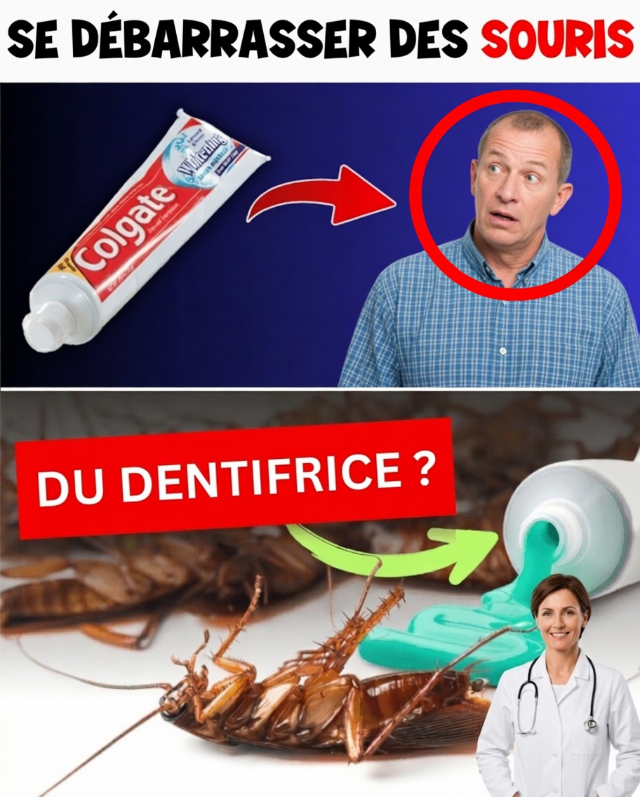 L’astuce surprenante du dentifrice qui aide à éloigner naturellement les nuisibles de la maison