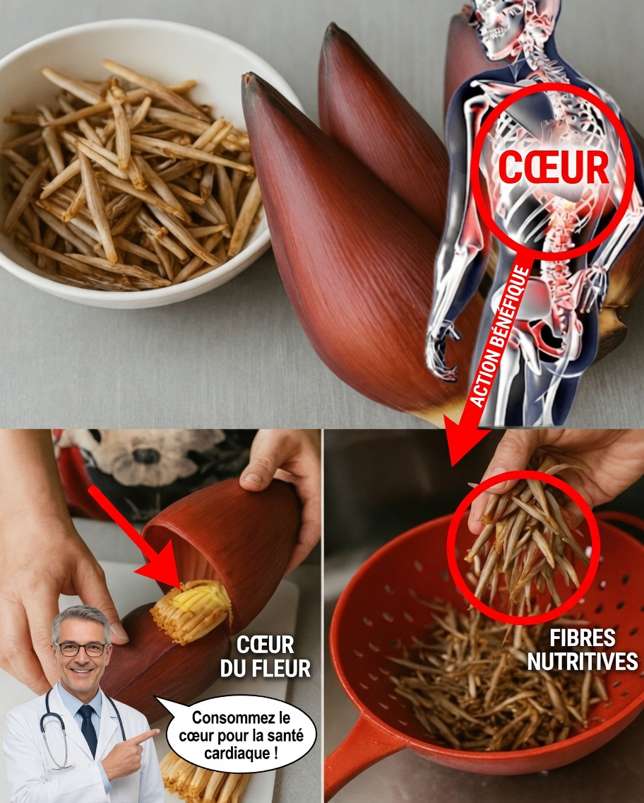 Fleur de bananier : le super-aliment caché que votre corps attendait