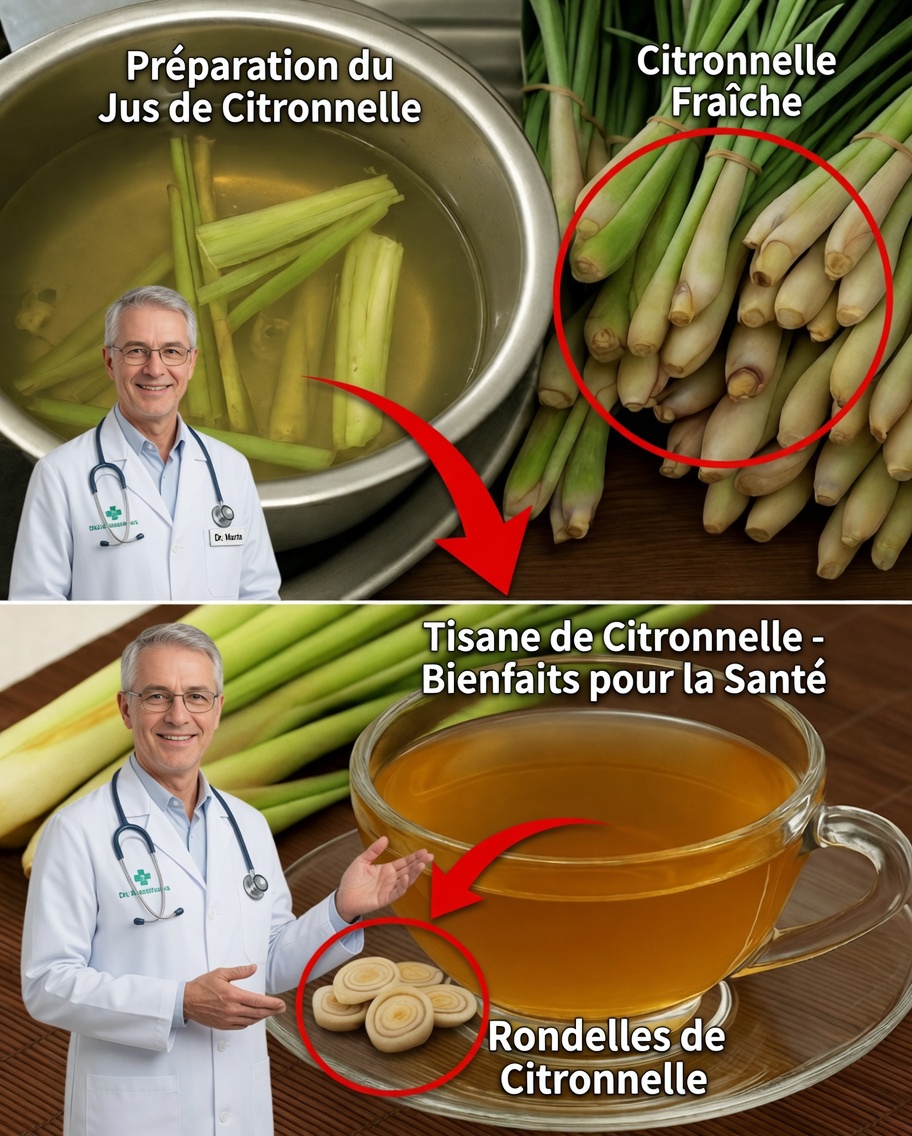 Comment préparer une tisane de citronnelle à la maison pour la santé et la relaxation