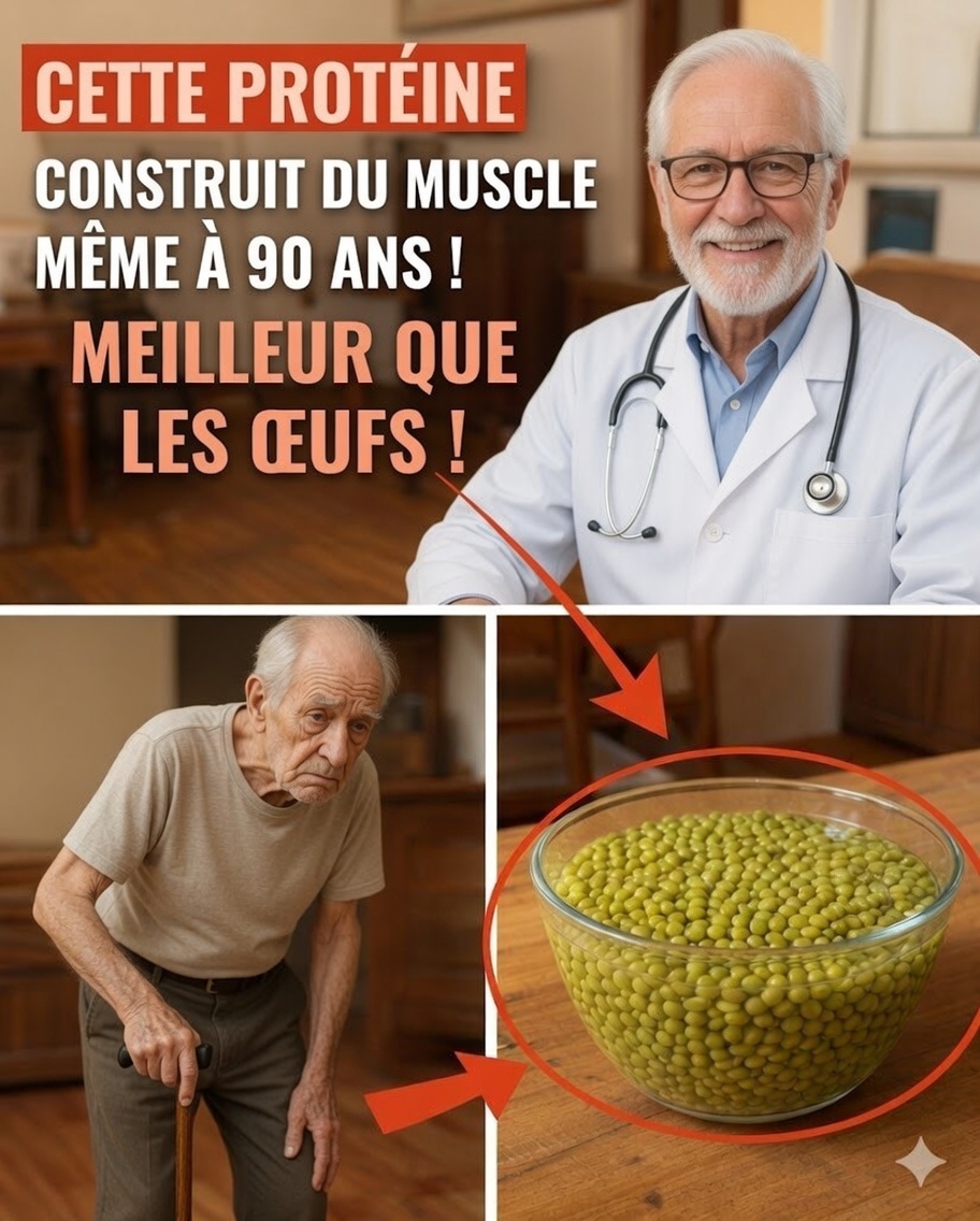 Retrouvez la force après 70 ans grâce à des graines riches en protéines : un plan simple et réaliste