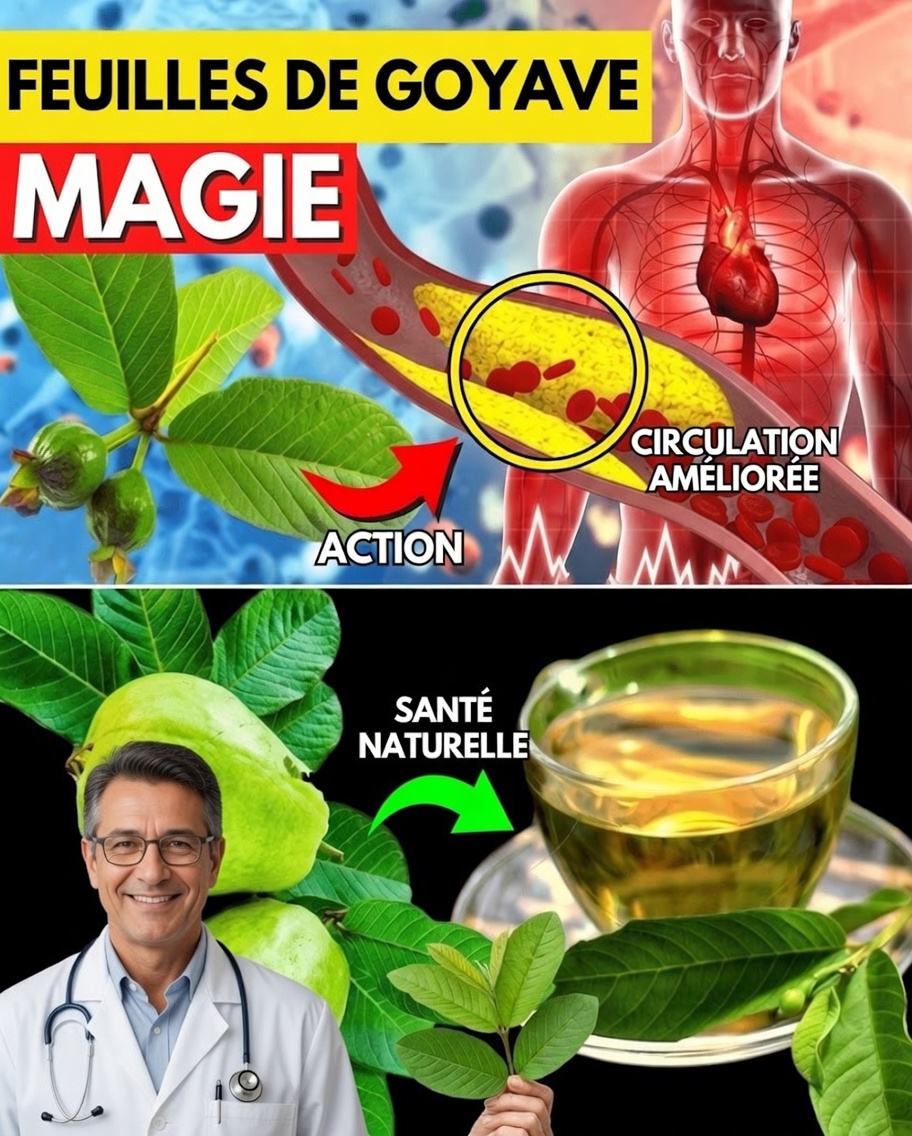 17 raisons puissantes de boire du thé aux feuilles de goyavier deux fois par semaine pour une meilleure santé